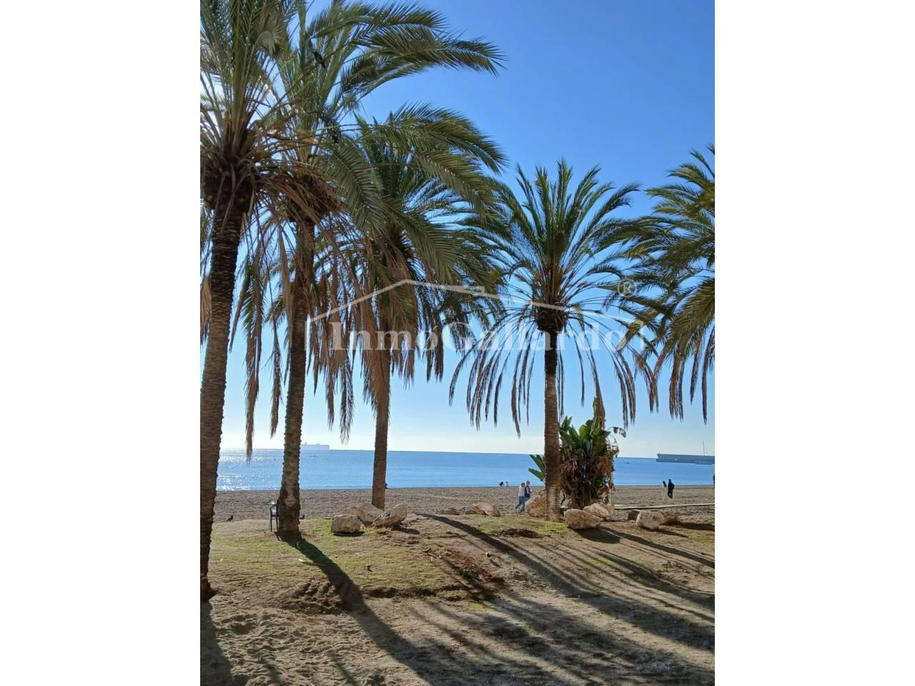Apartamento en Alquiler en Málaga