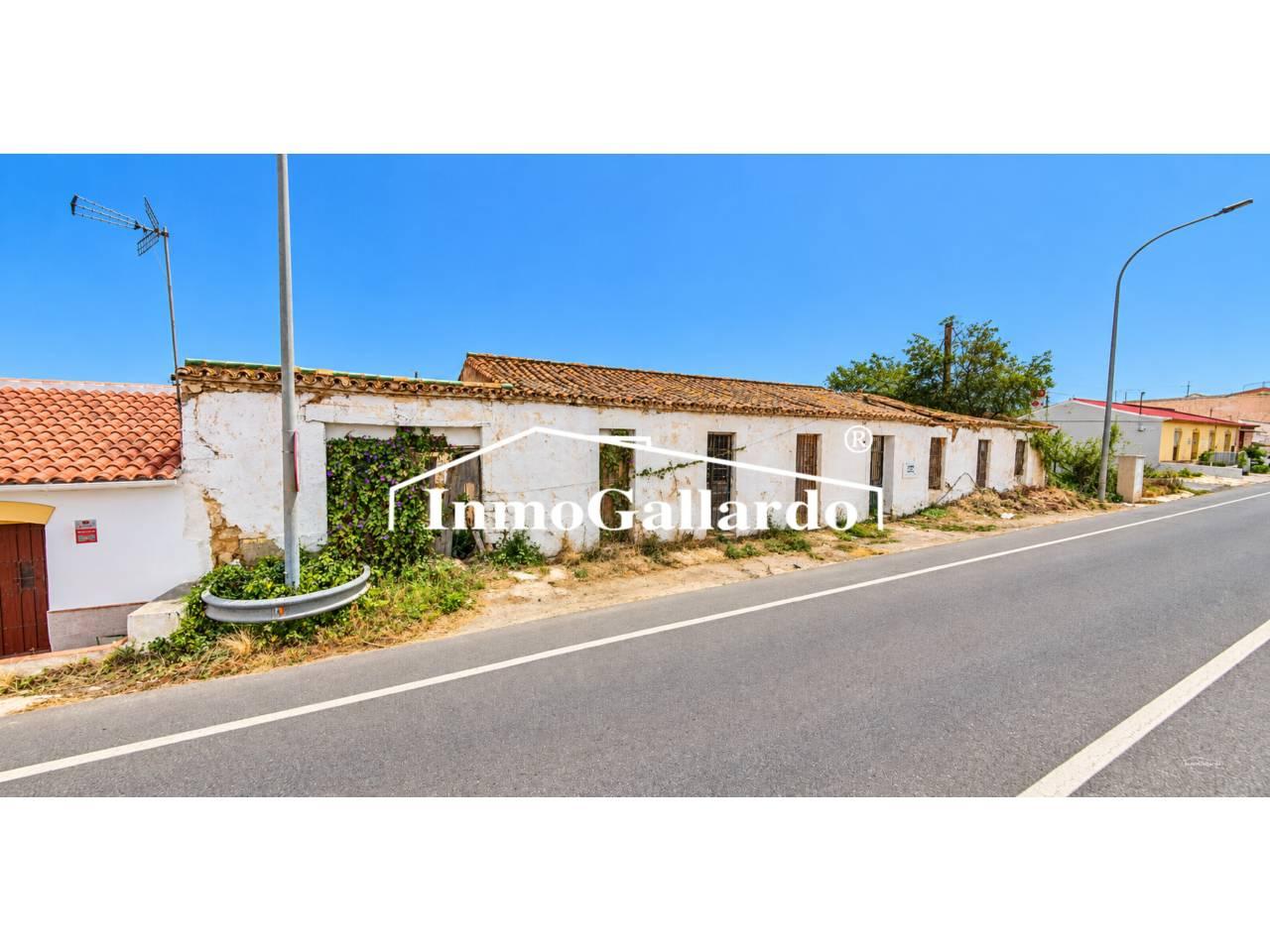 Premise for Sale in Vélez-Málaga