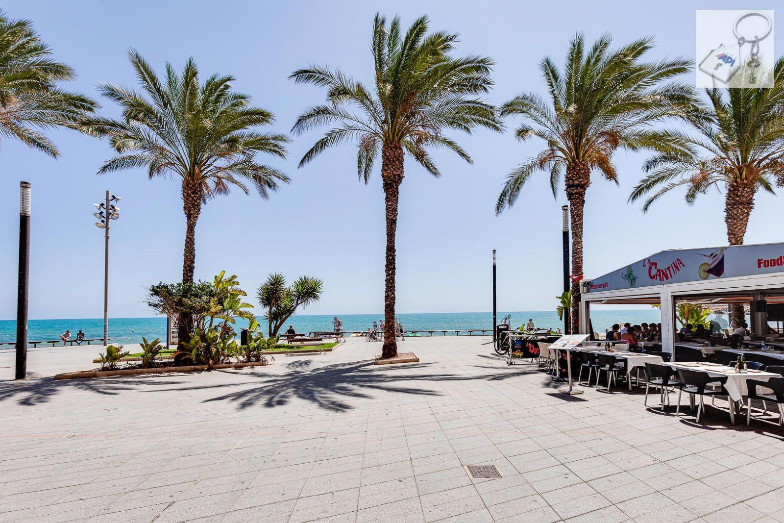 Apartamento en Venta en Torrevieja