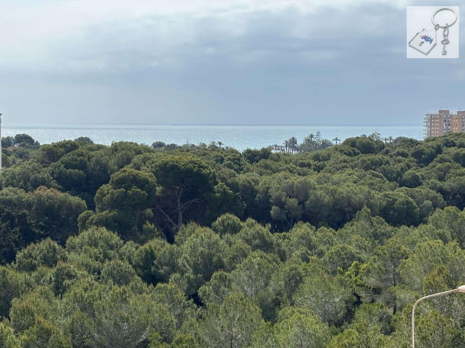 Duplex for Sale in Orihuela