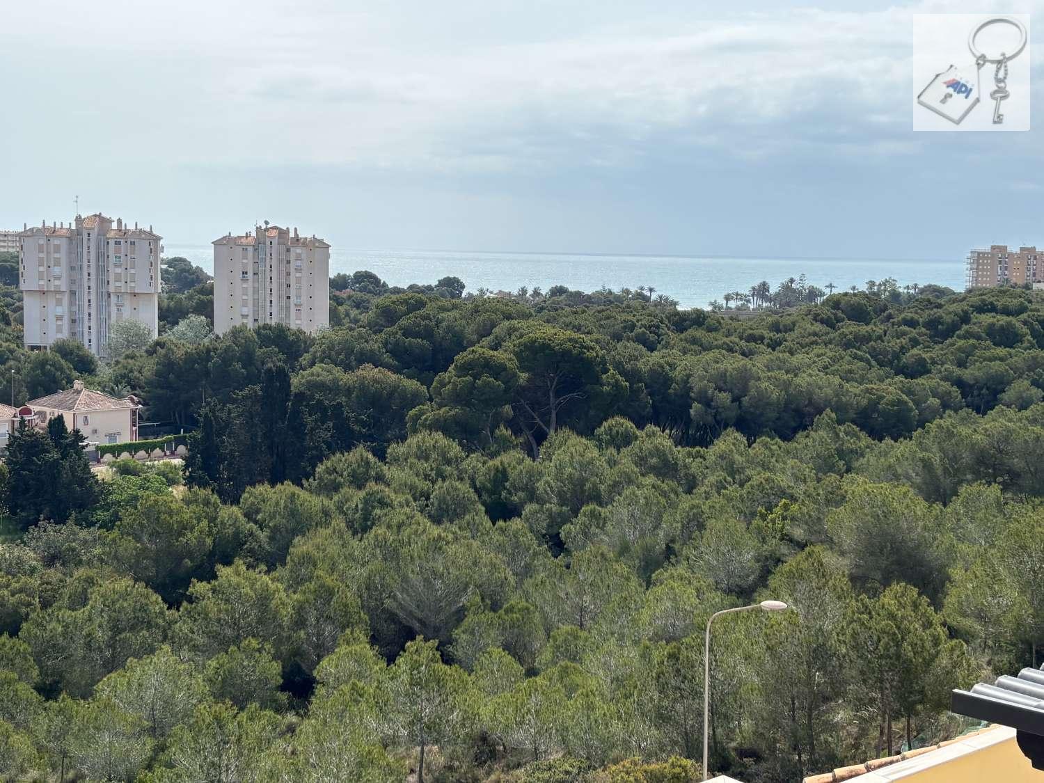 Duplex for Sale in Orihuela