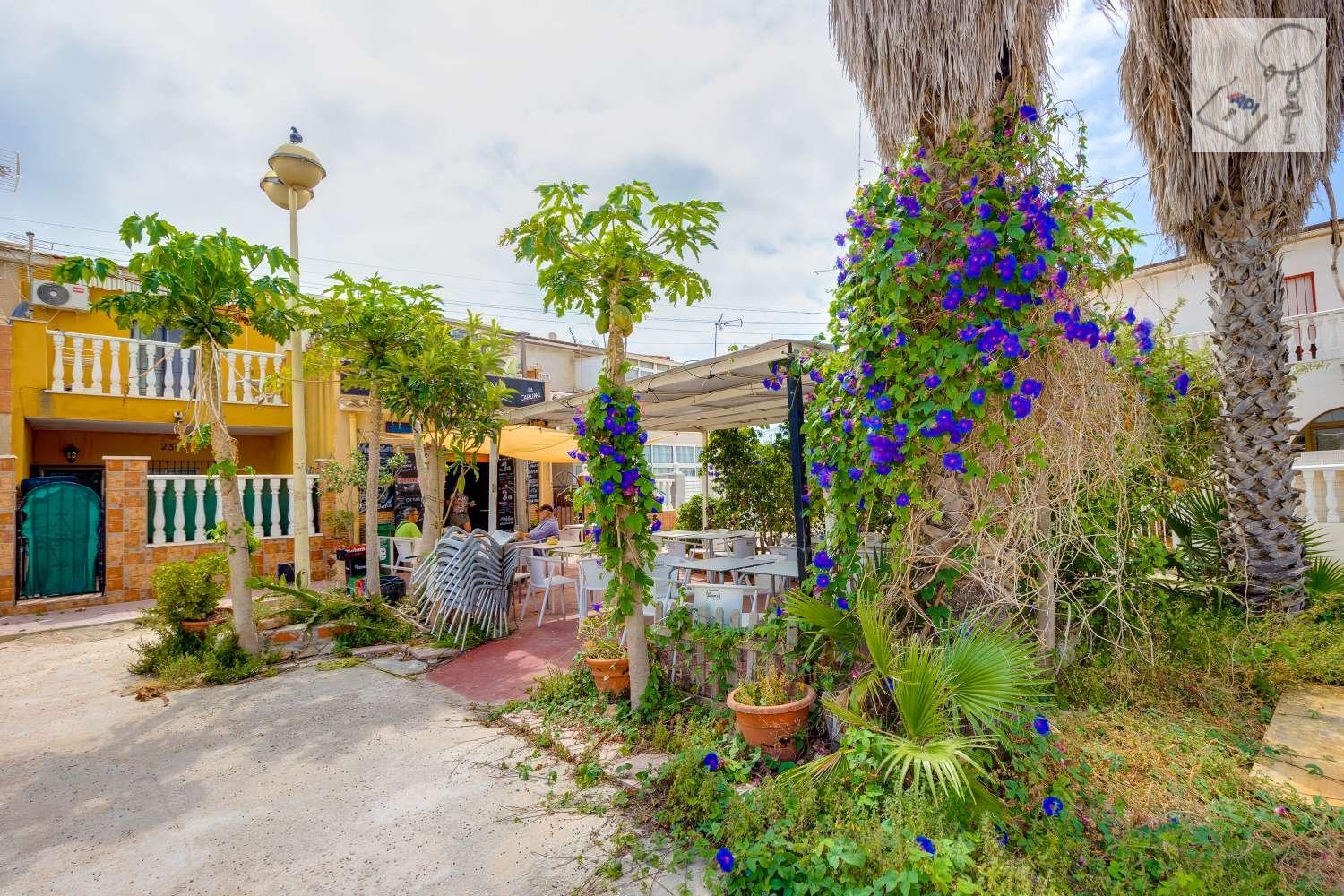 Premise for Sale in Torrevieja