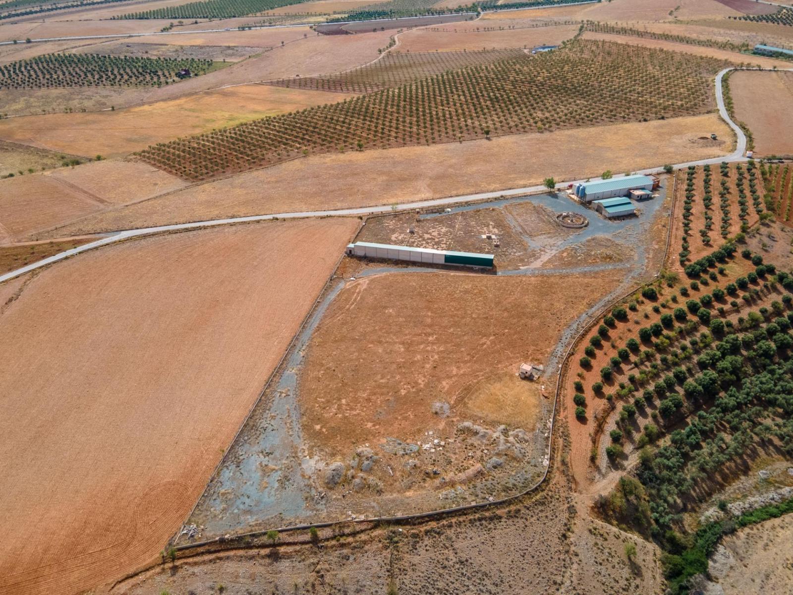 Parcela en Venta en Cogollos de Guadix