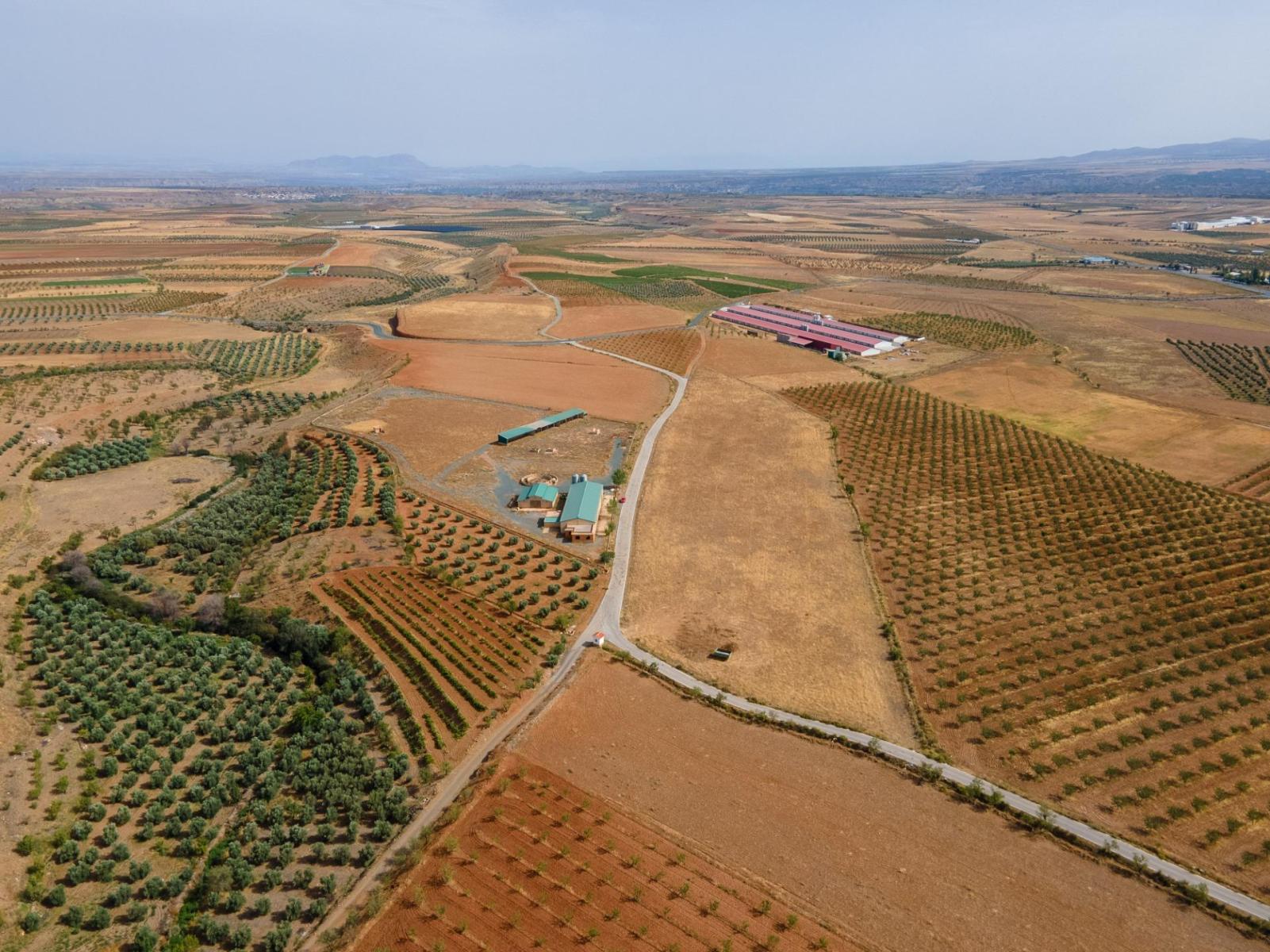Parcela en Venta en Cogollos de Guadix
