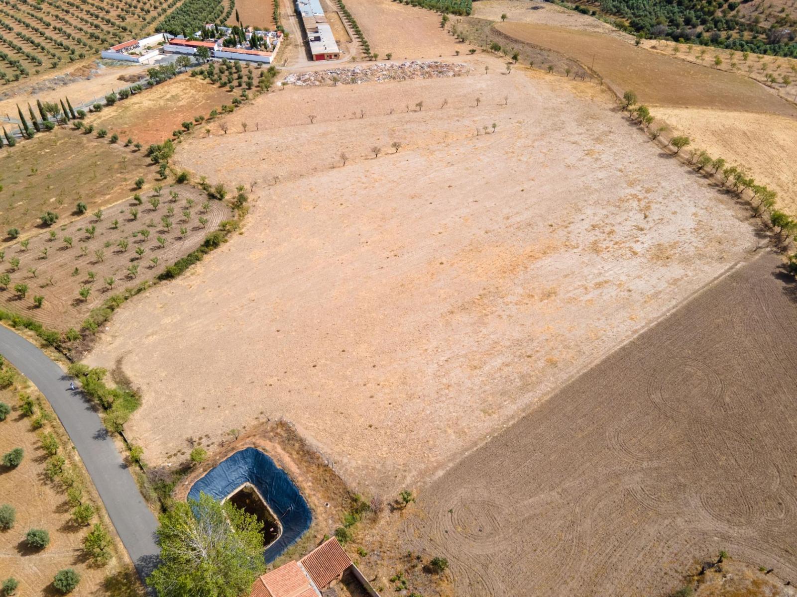 Parcela en Venta en Cogollos de Guadix