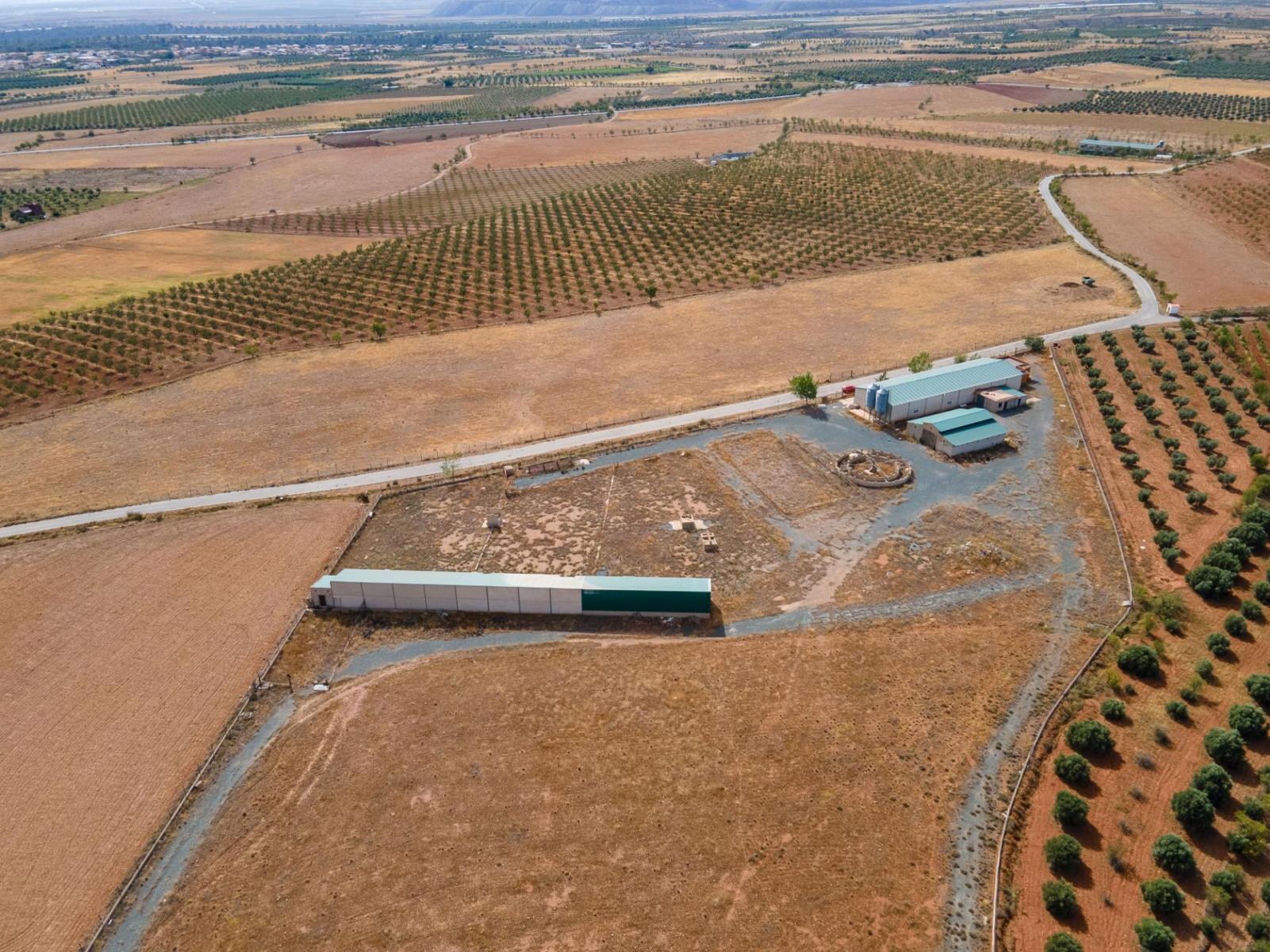 Parcela en Venta en Cogollos de Guadix