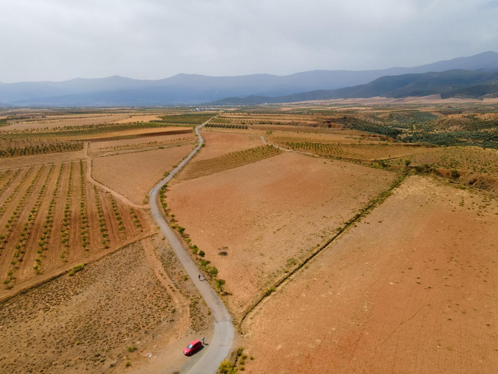 Parcela en Venta en Cogollos de Guadix