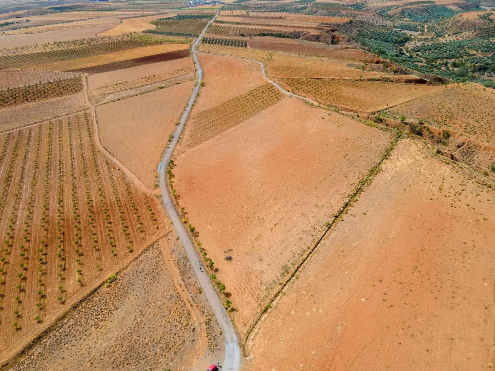 Parcela en Venta en Cogollos de Guadix