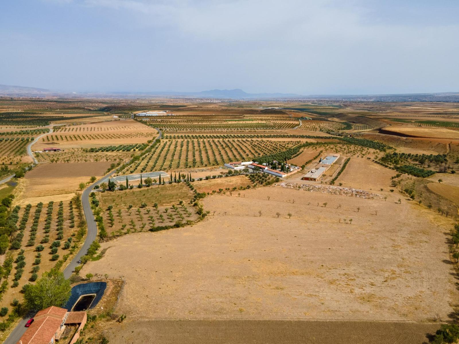 Parcela en Venta en Cogollos de Guadix