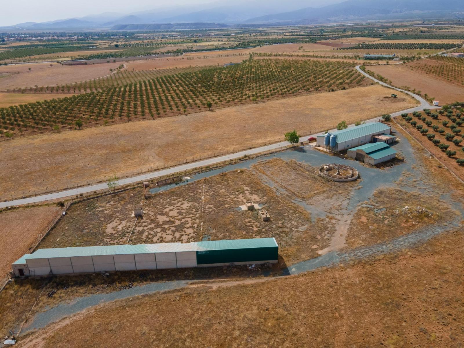 Parcela en Venta en Cogollos de Guadix
