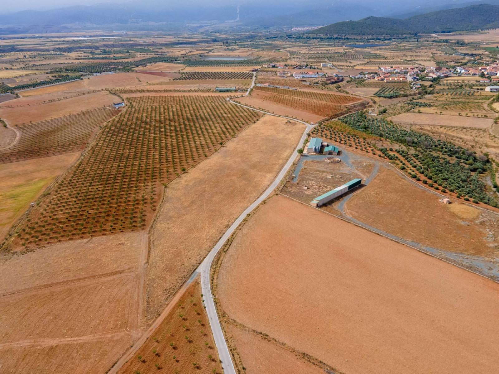 Parcela en Venta en Cogollos de Guadix