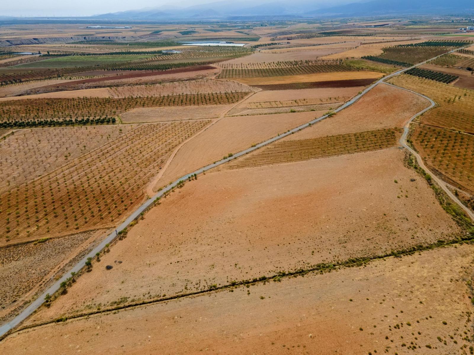 Parcela en Venta en Cogollos de Guadix