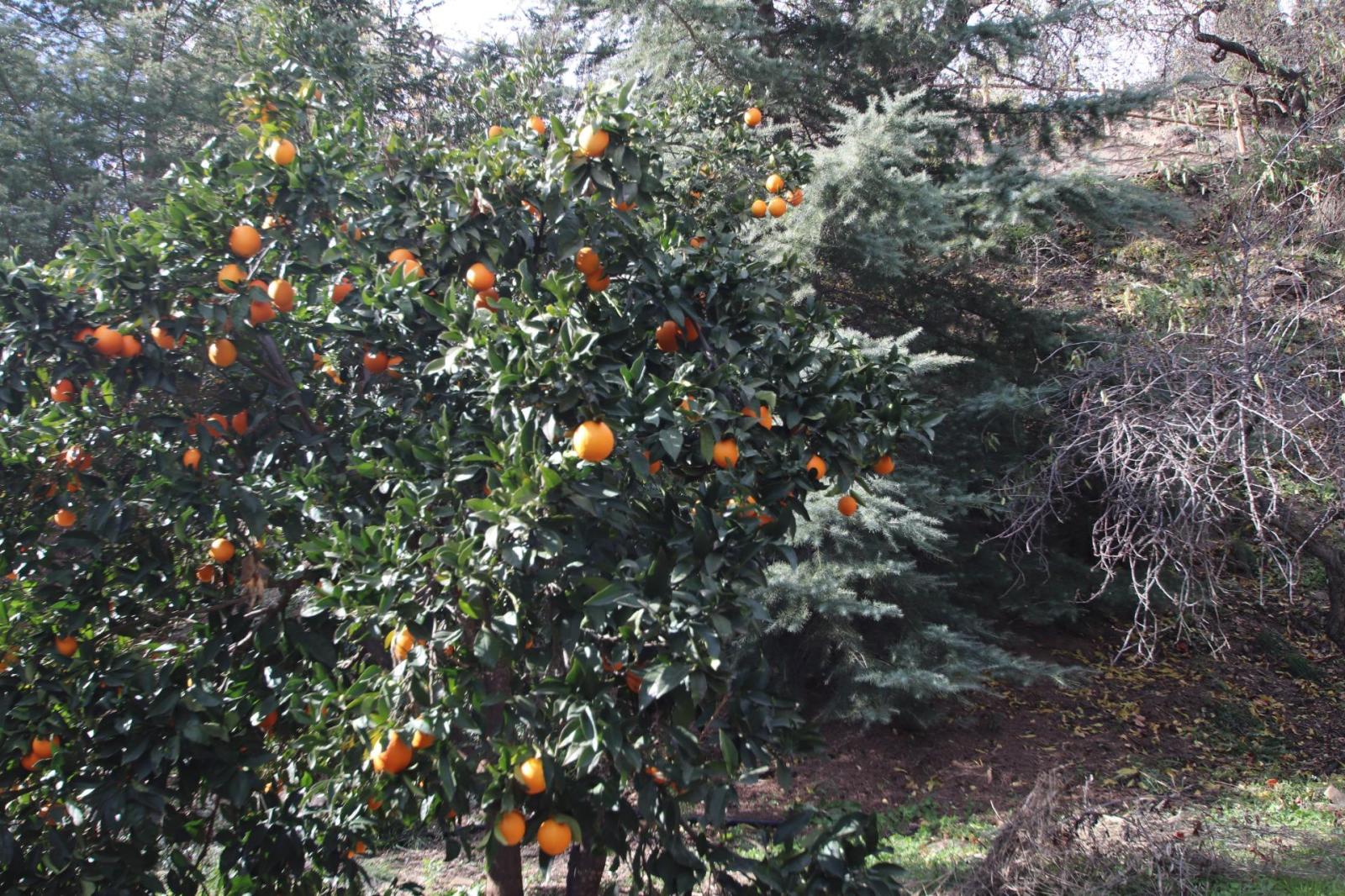 Country Property for Sale in Granada