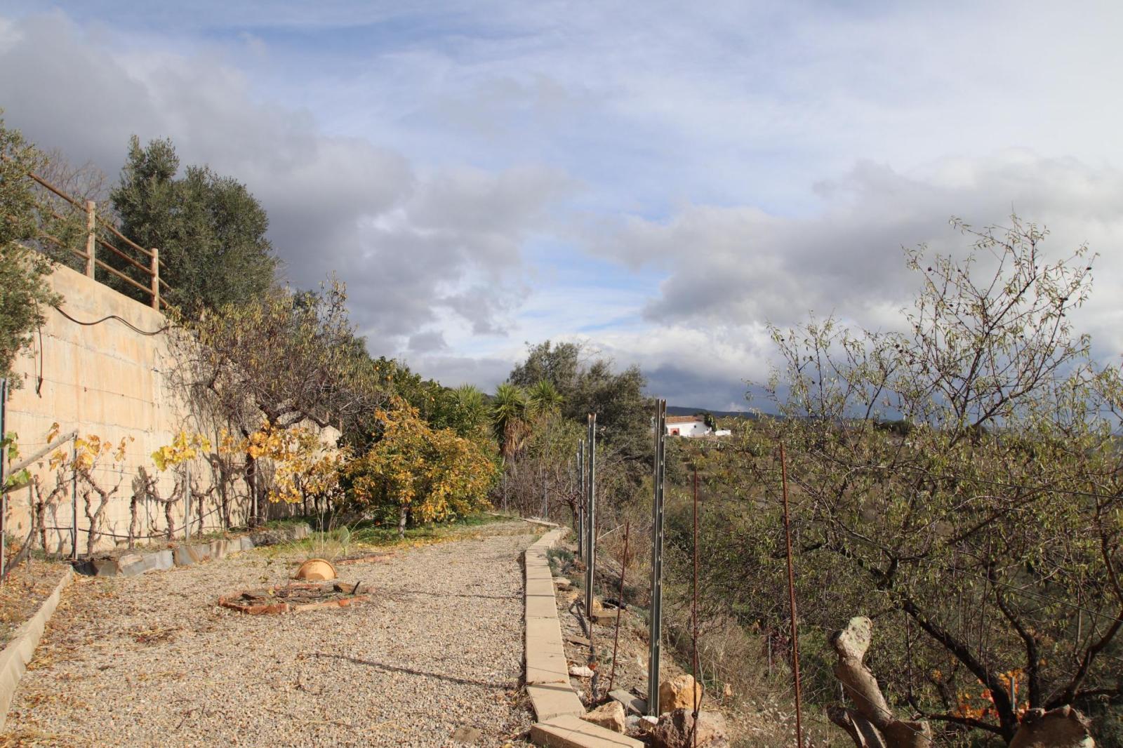 Finca en Venta en Granada