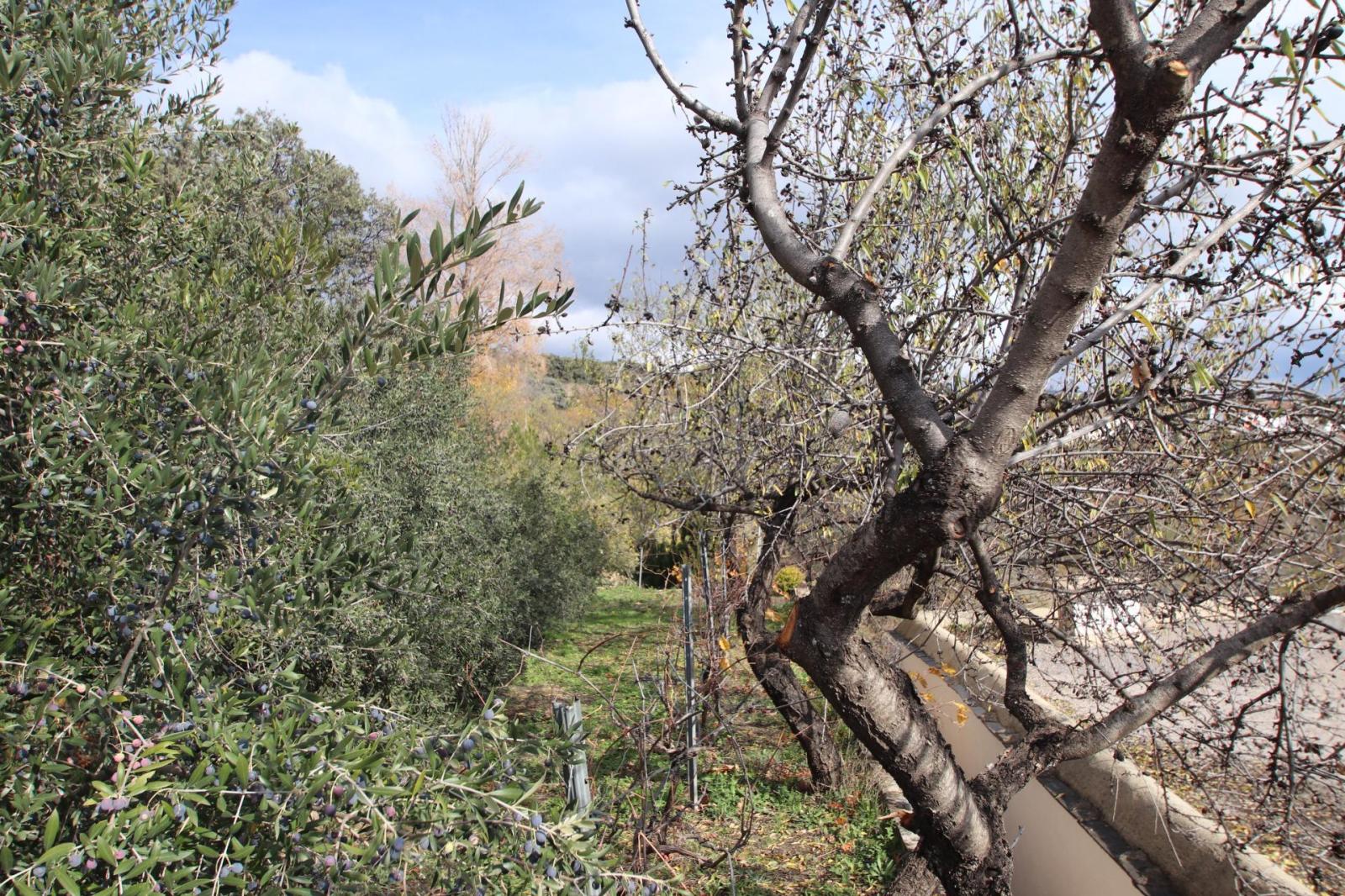 Finca en Venta en Granada