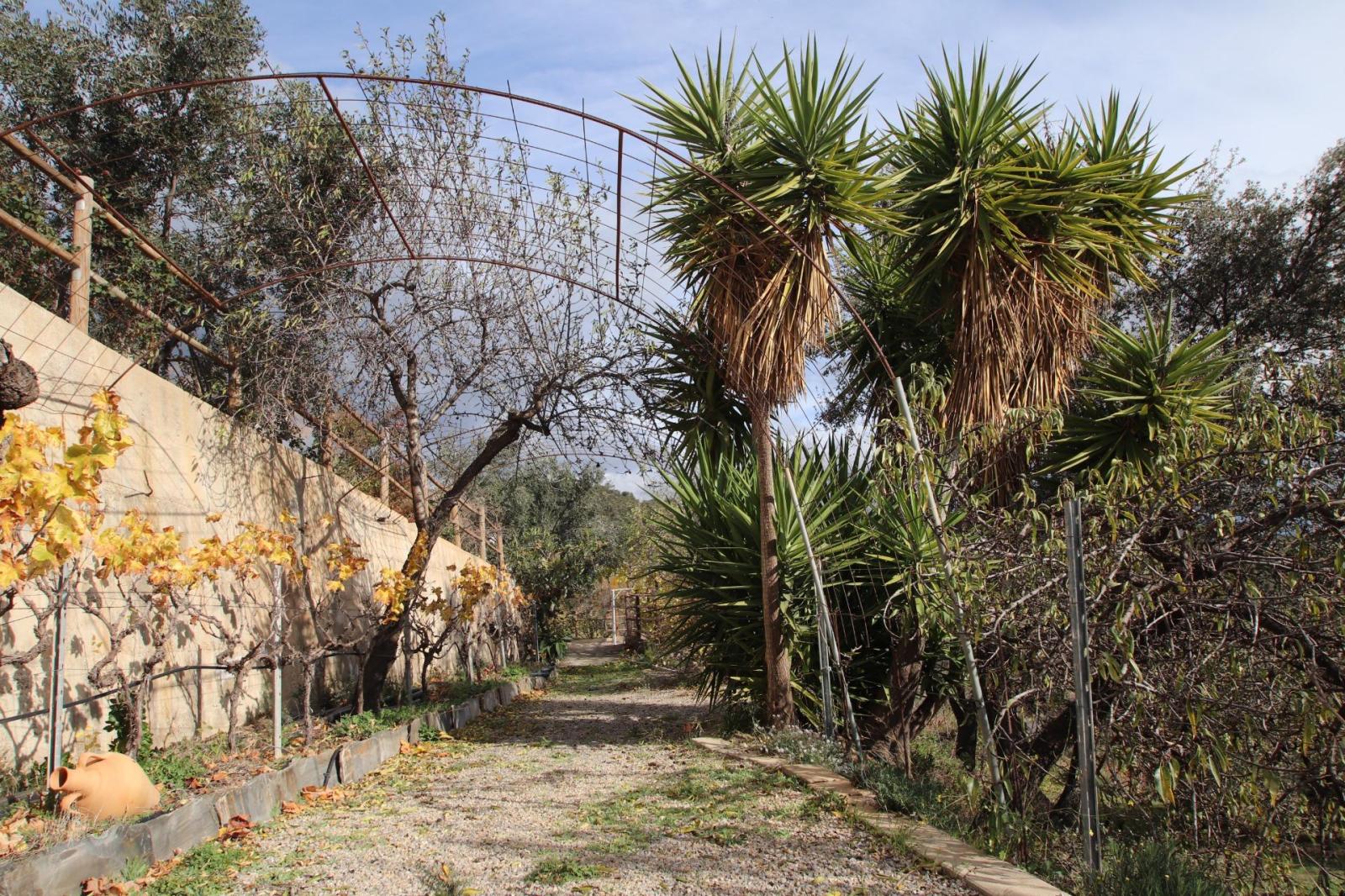 Country Property for Sale in Granada