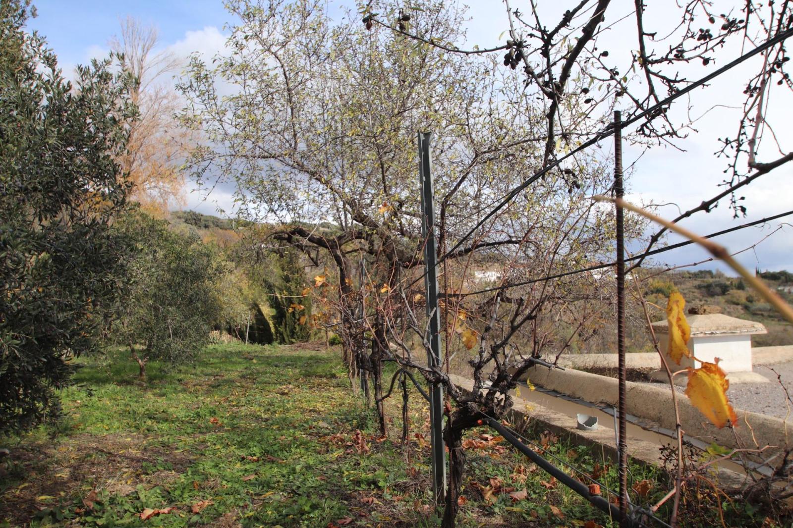 Country Property for Sale in Granada