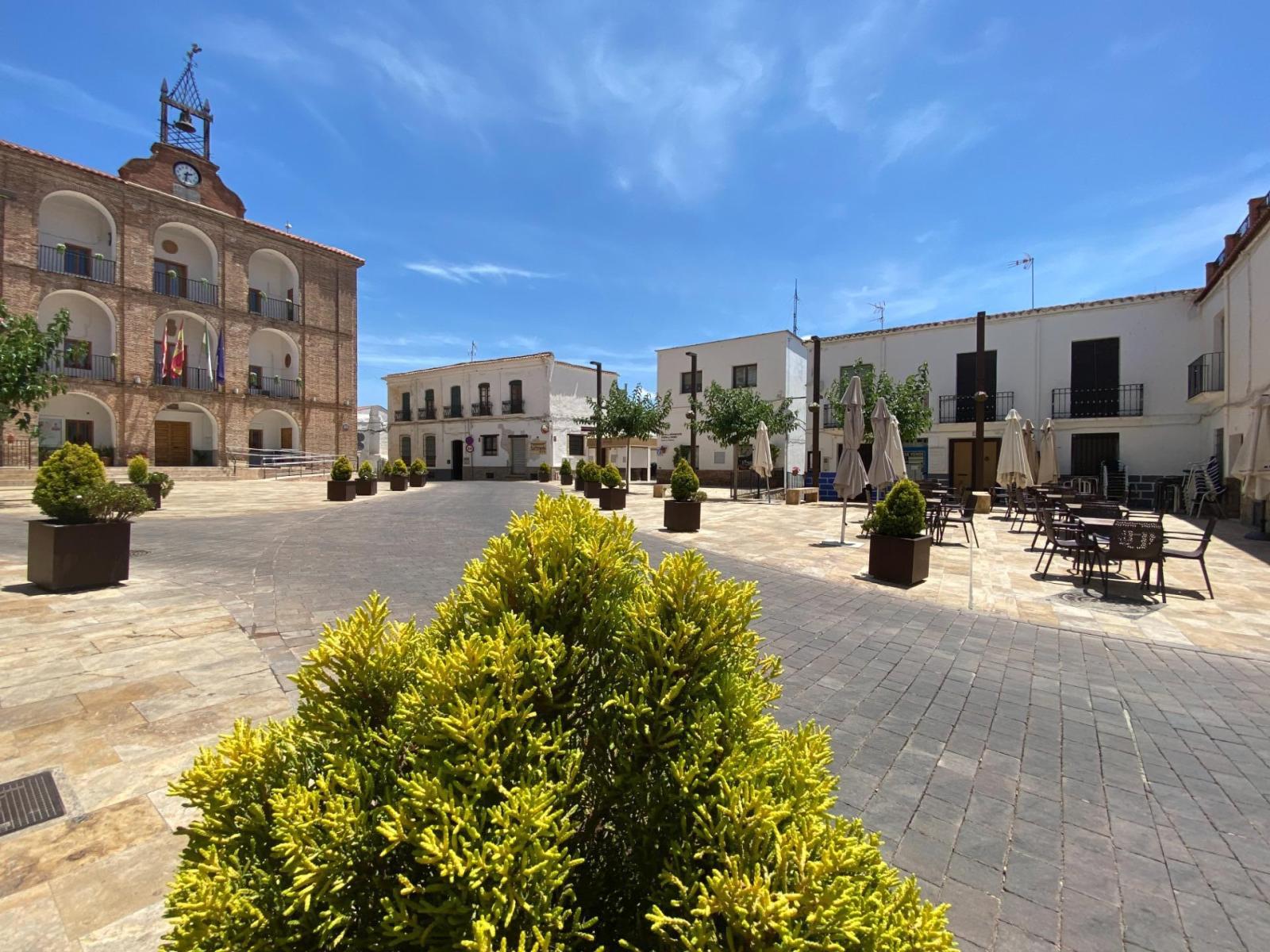 Plot for Sale in Láujar de Andarax