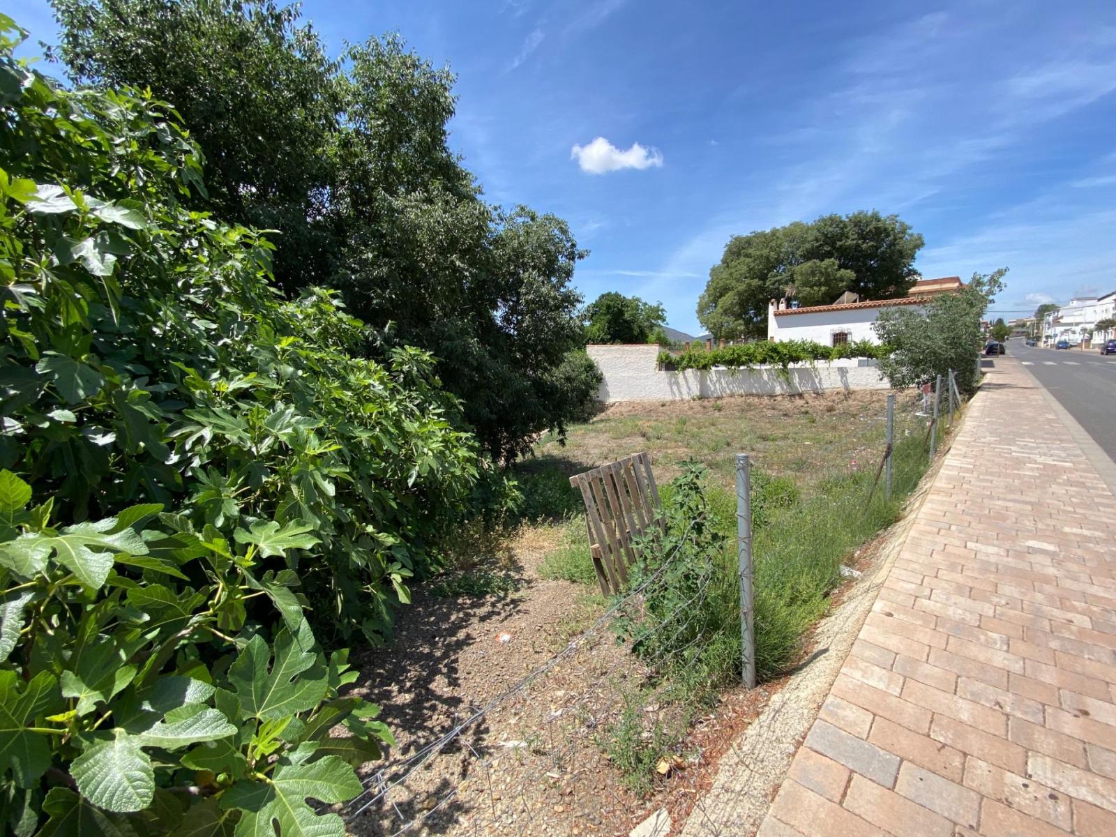 Parcela en Venta en Láujar de Andarax