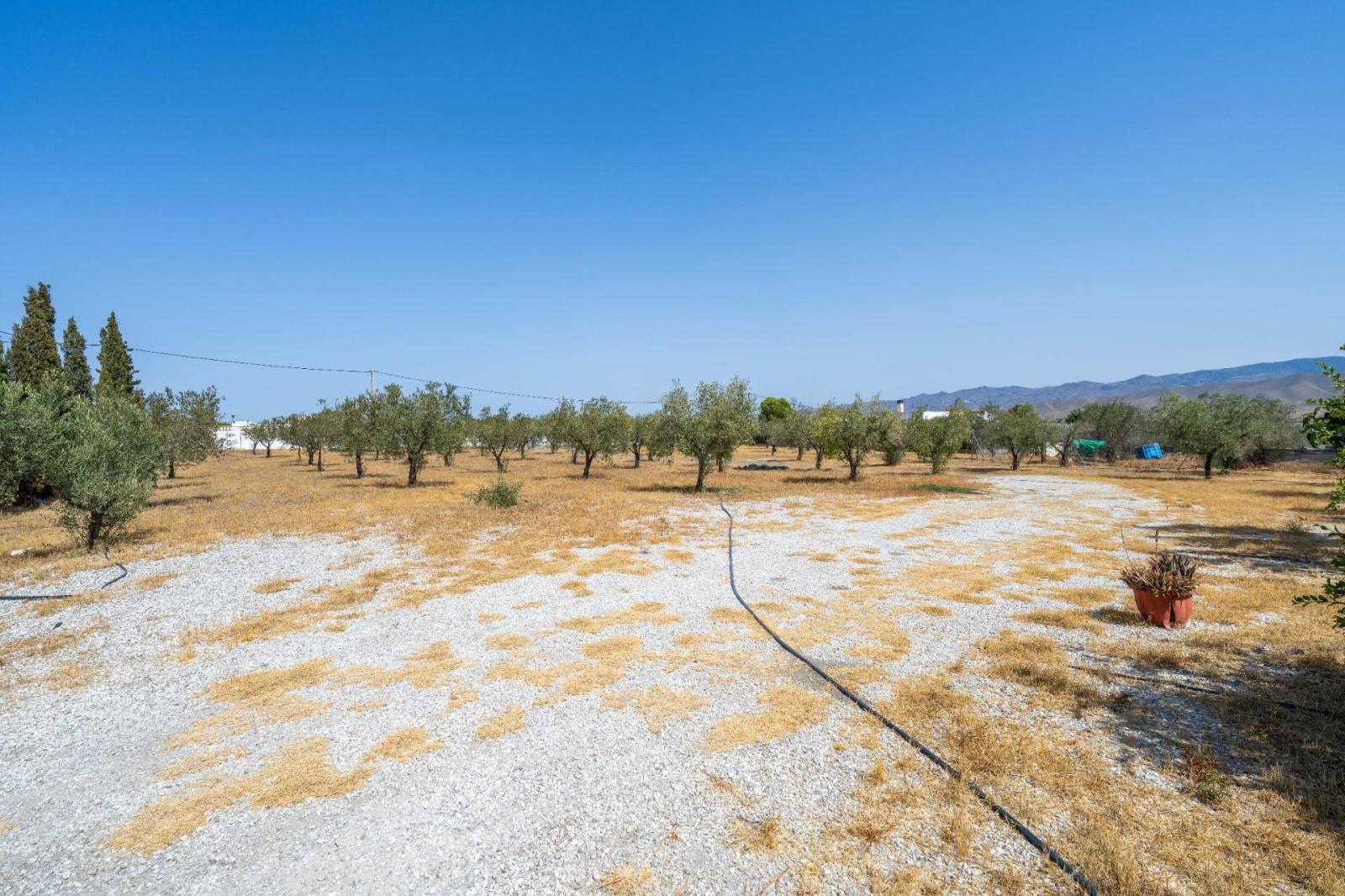 Villa for Sale in Tabernas