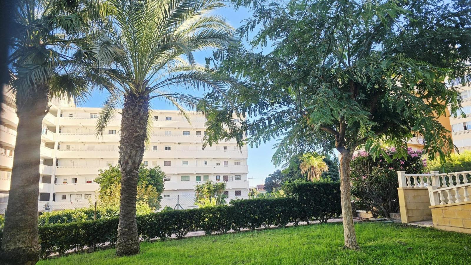 Studio for Sale in Torrevieja