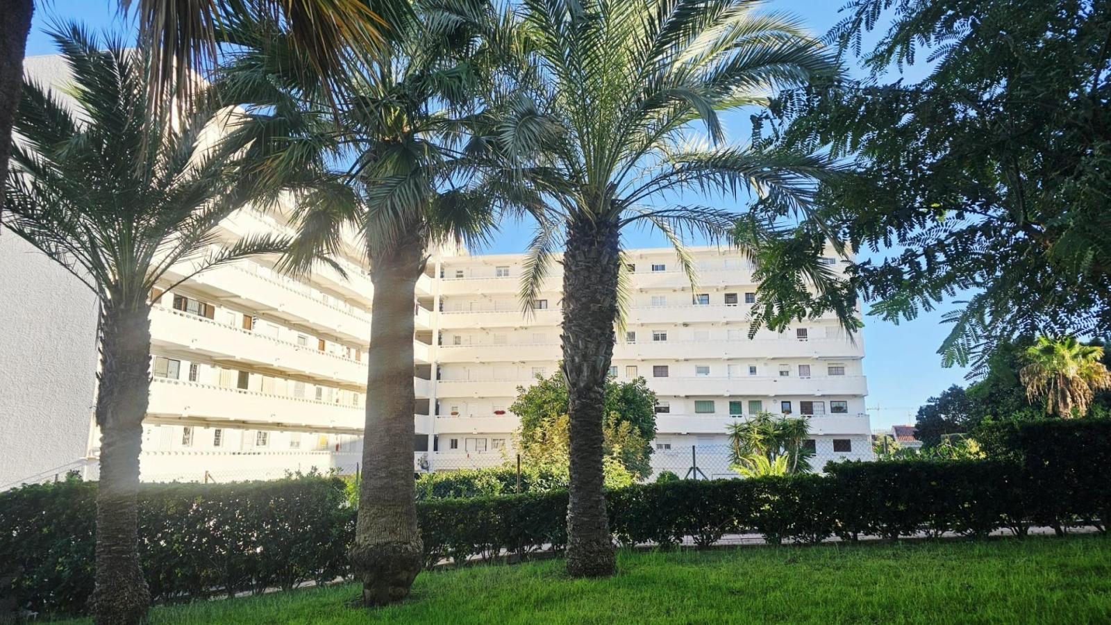 Studio for Sale in Torrevieja
