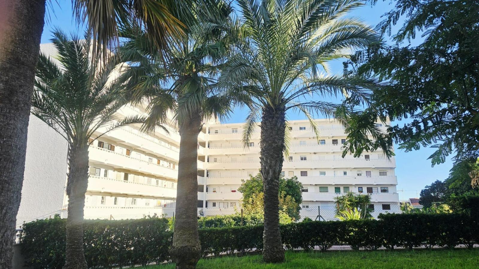Studio for Sale in Torrevieja