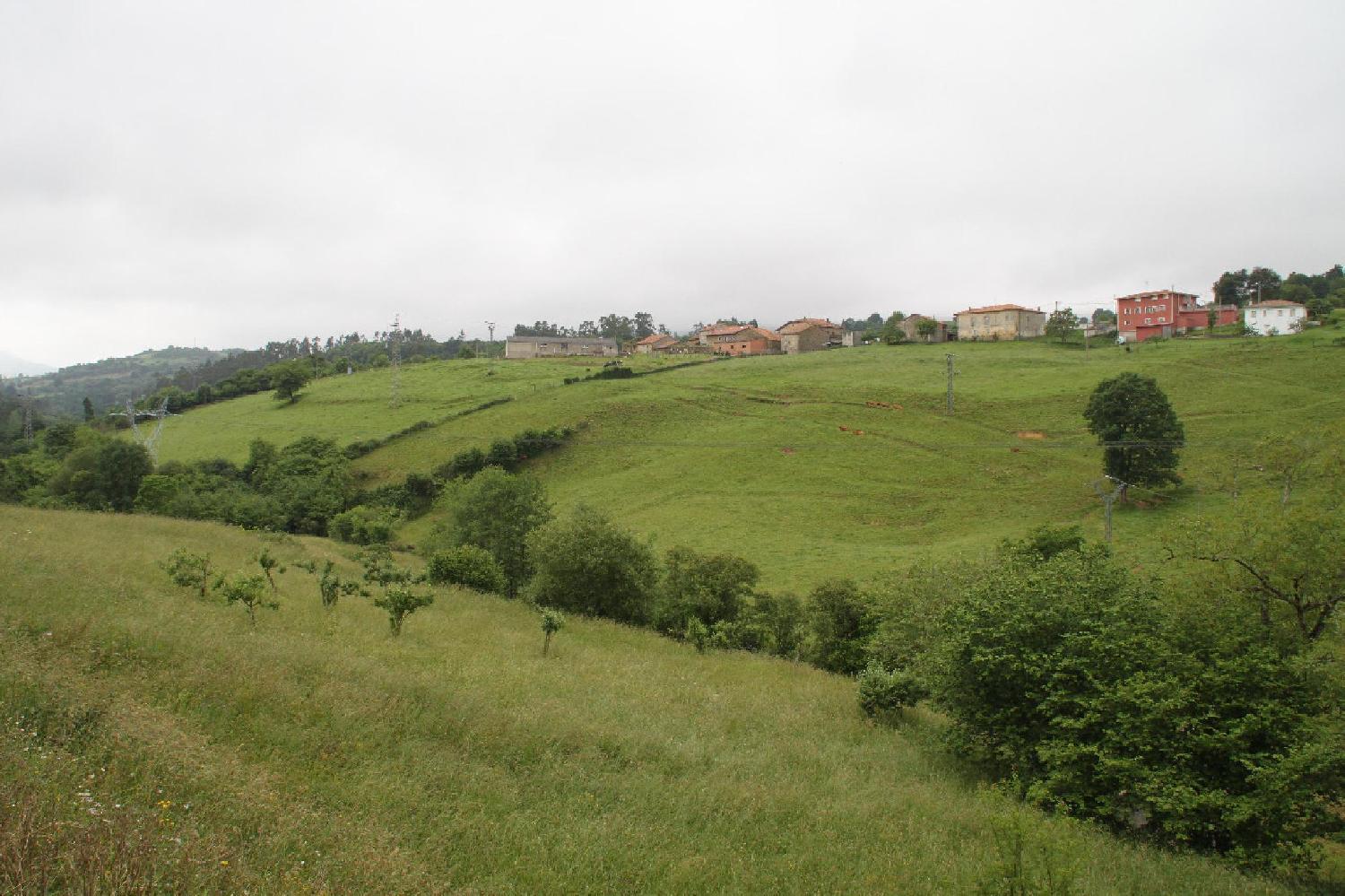 Plot for Sale in Herrerías