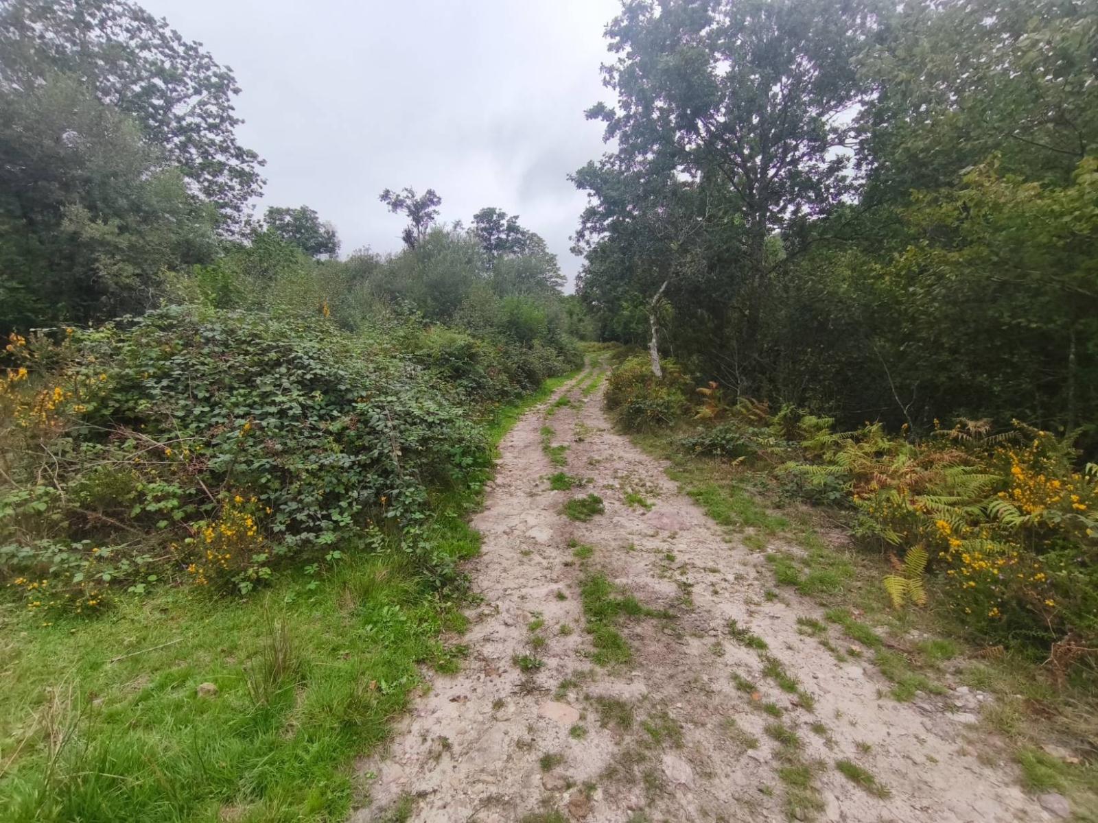 Chalet for Sale in Rionansa