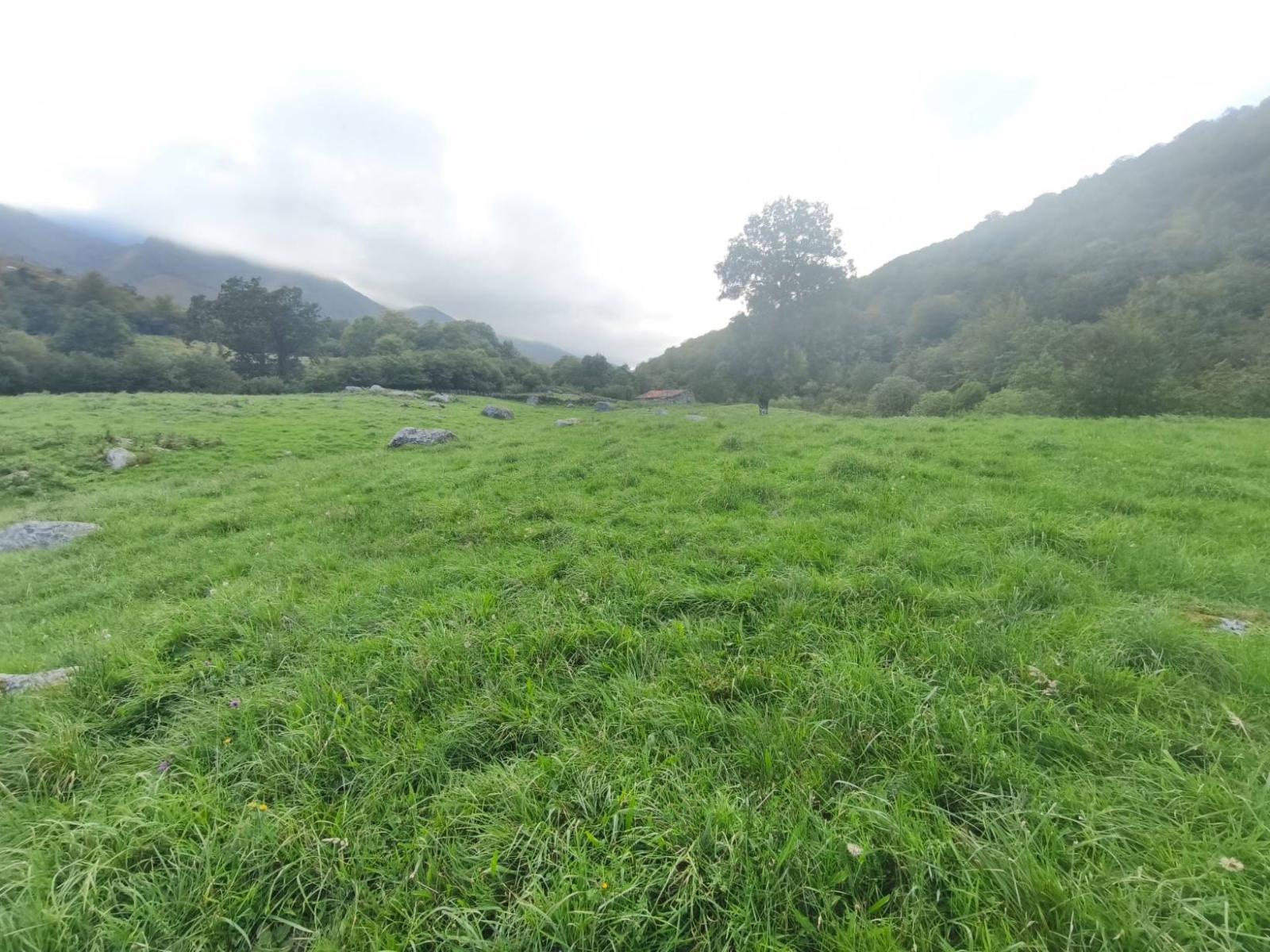 Chalet for Sale in Rionansa