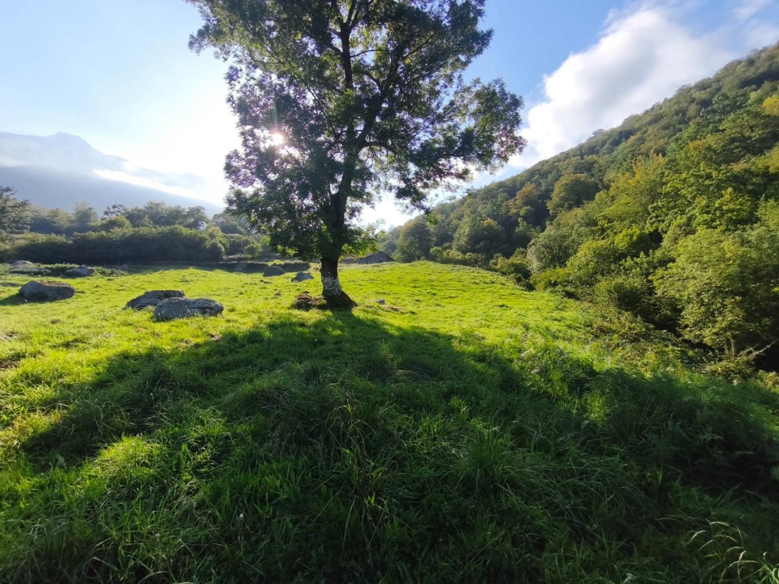 Chalet for Sale in Rionansa