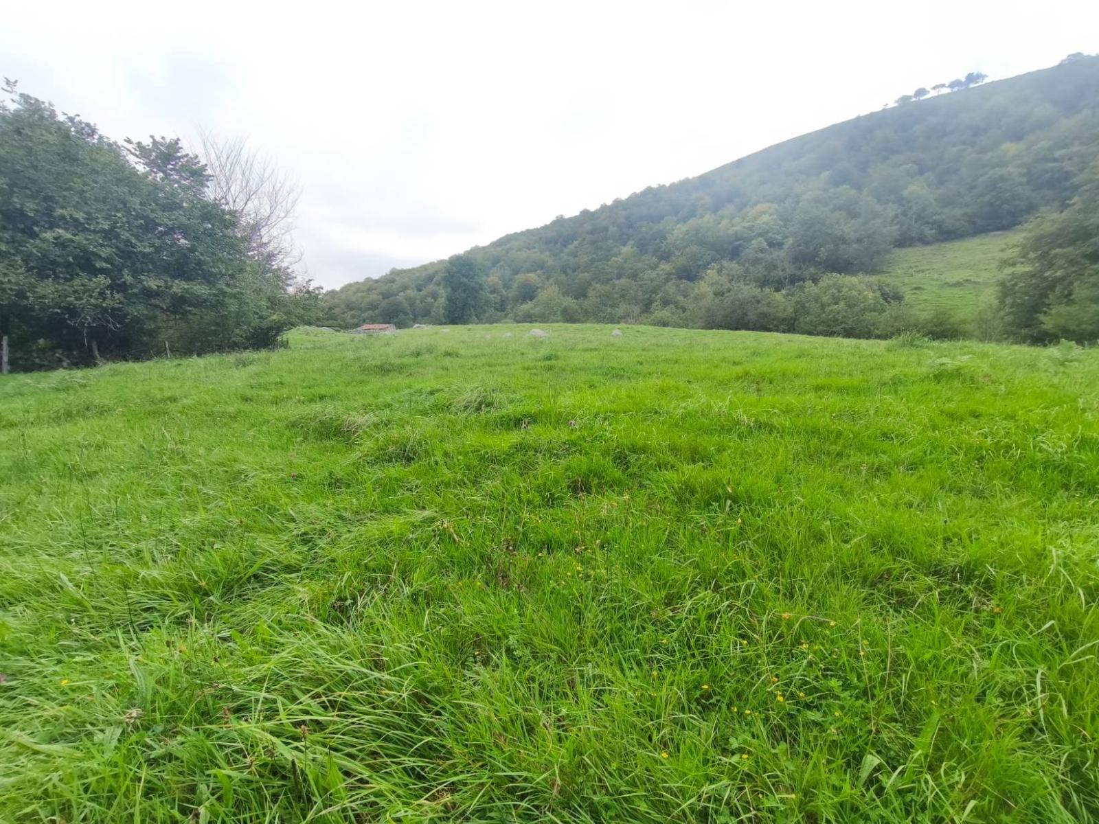 Chalet for Sale in Rionansa