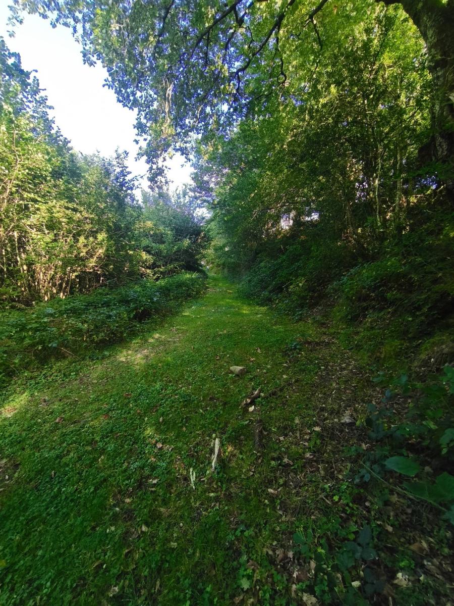 Chalet for Sale in Rionansa
