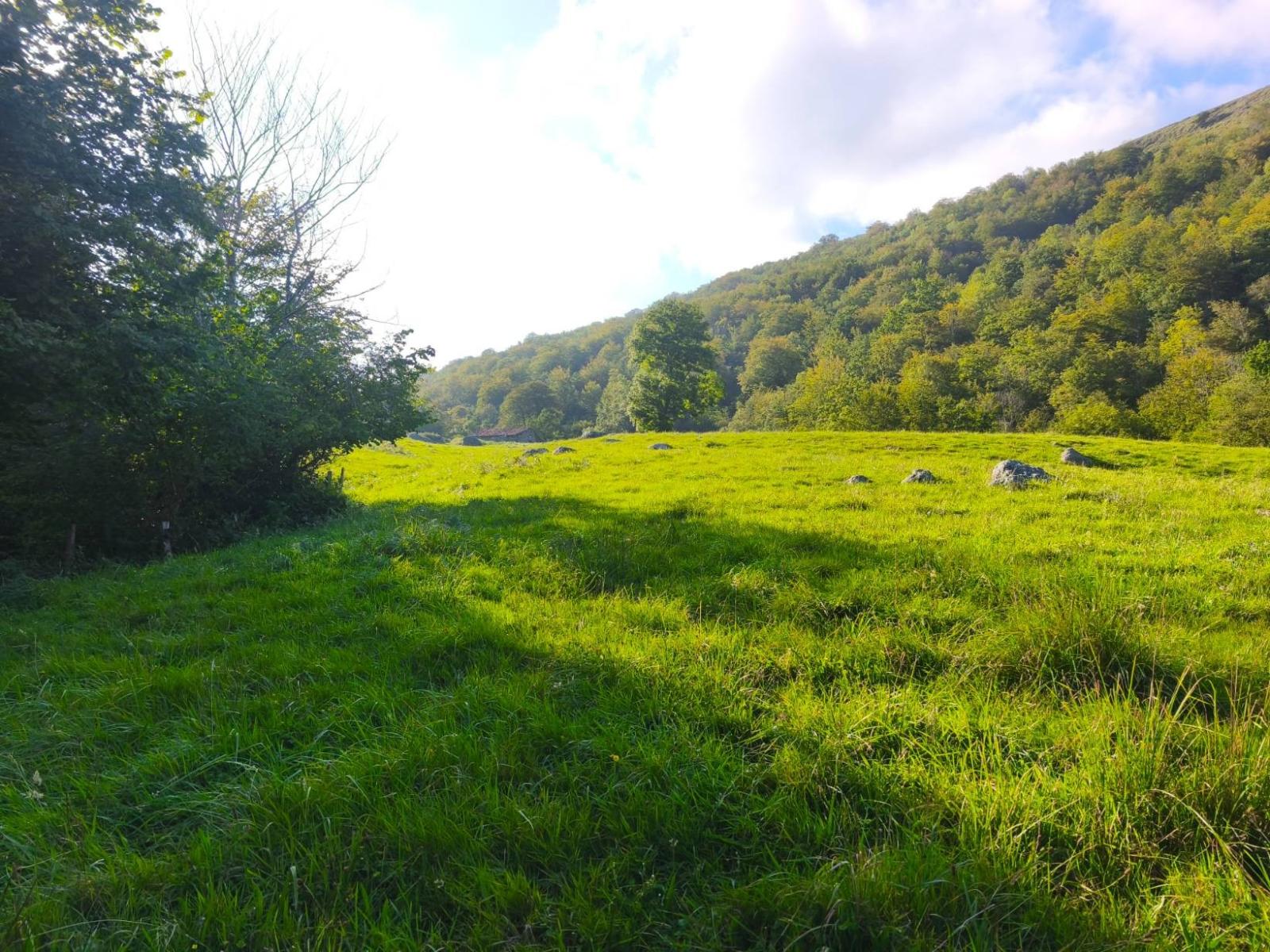 Chalet for Sale in Rionansa