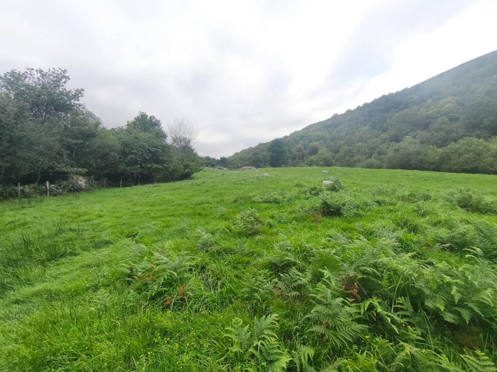 Chalet for Sale in Rionansa