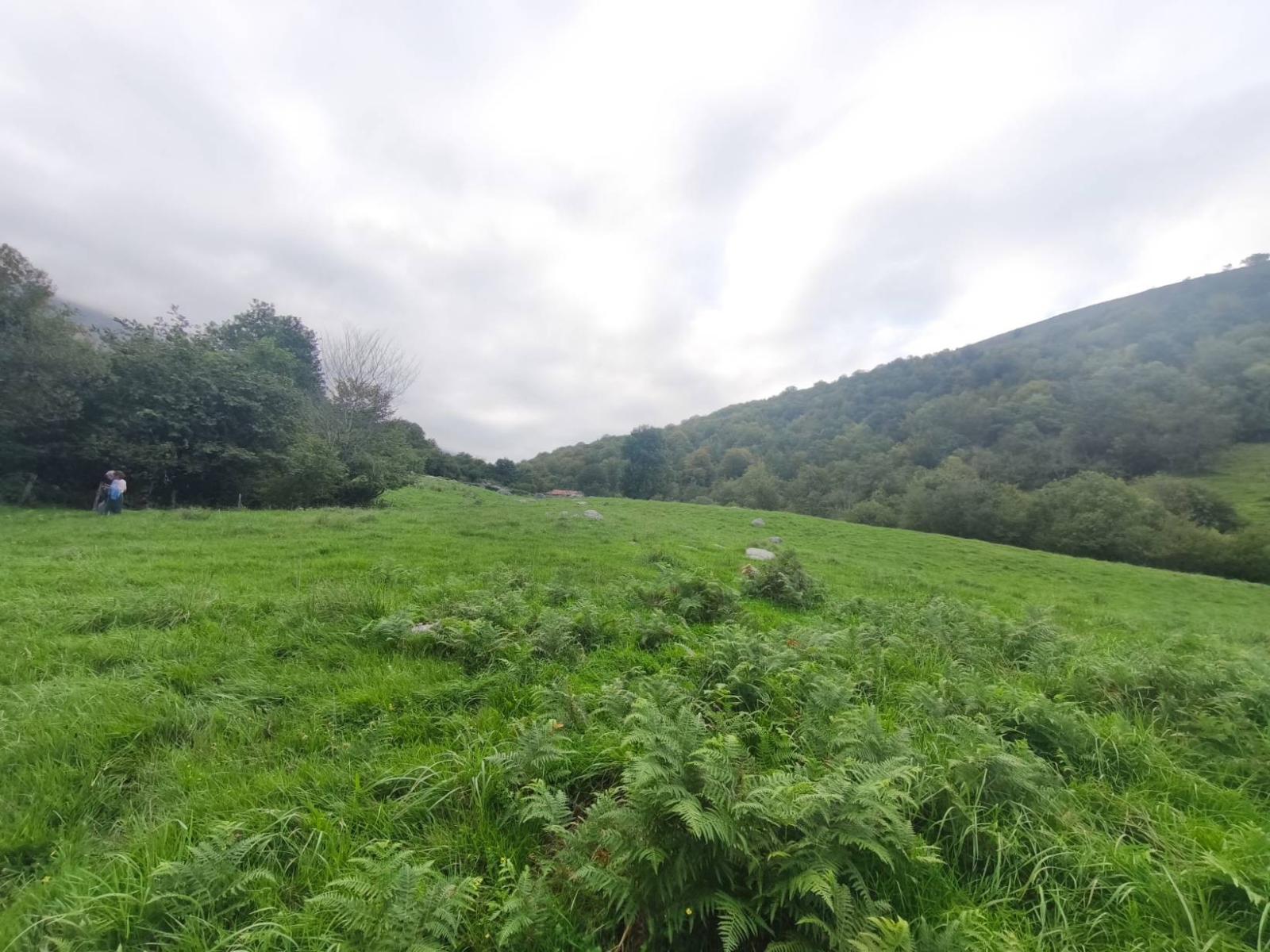 Chalet for Sale in Rionansa