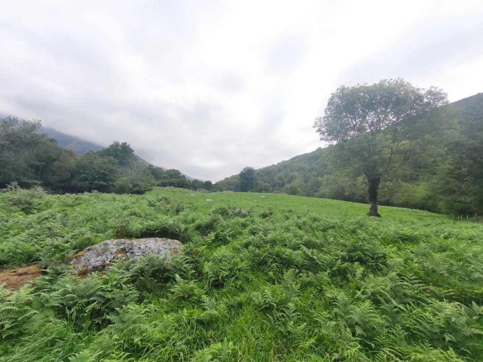 Chalet for Sale in Rionansa
