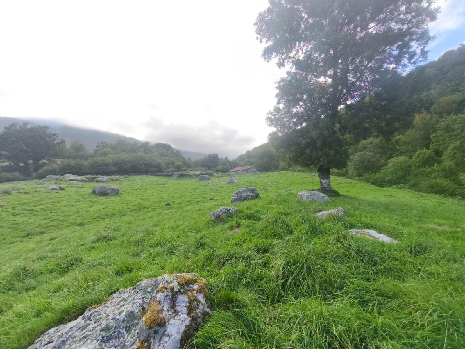 Chalet for Sale in Rionansa