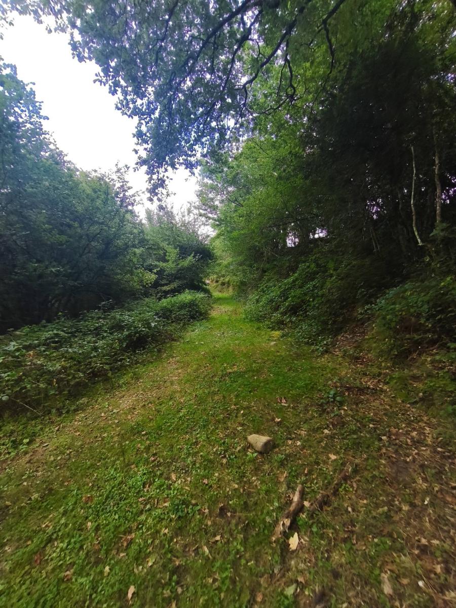 Chalet for Sale in Rionansa