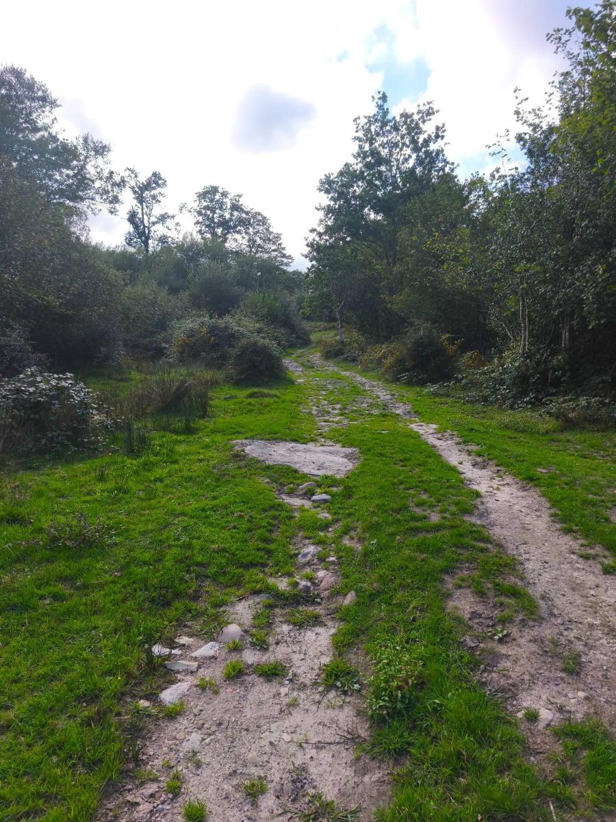 Chalet for Sale in Rionansa