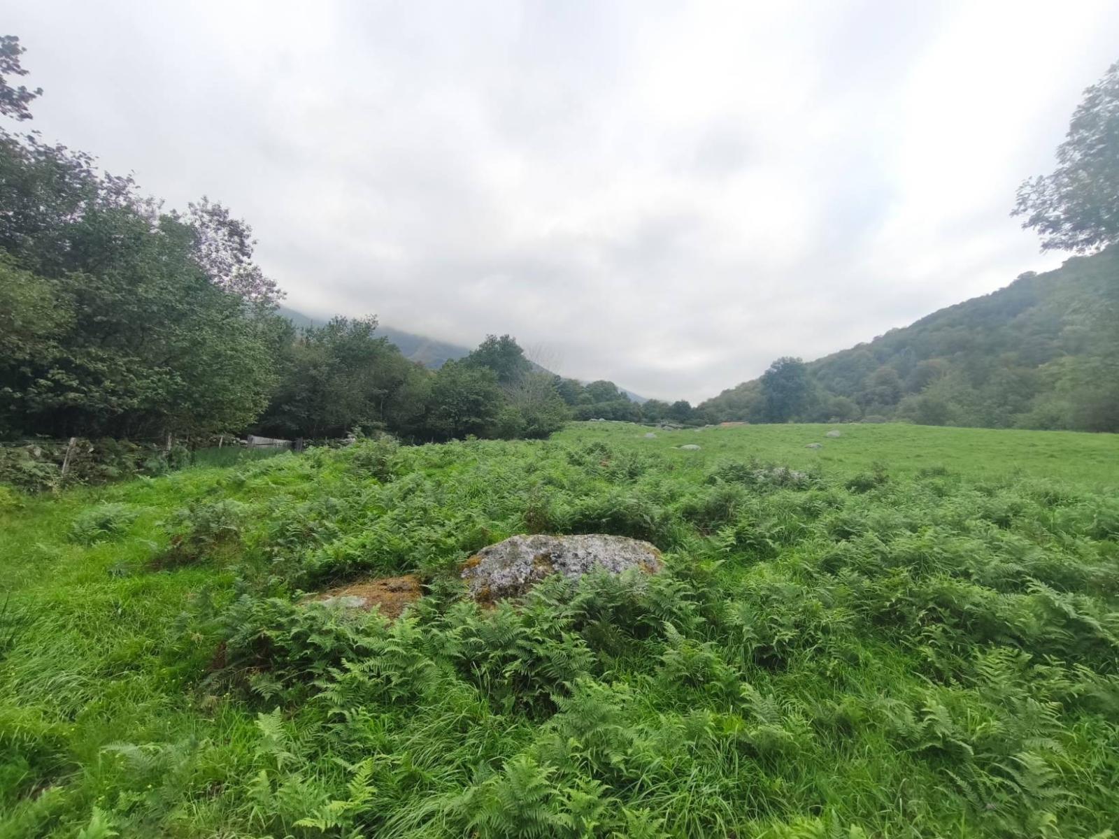 Chalet for Sale in Rionansa