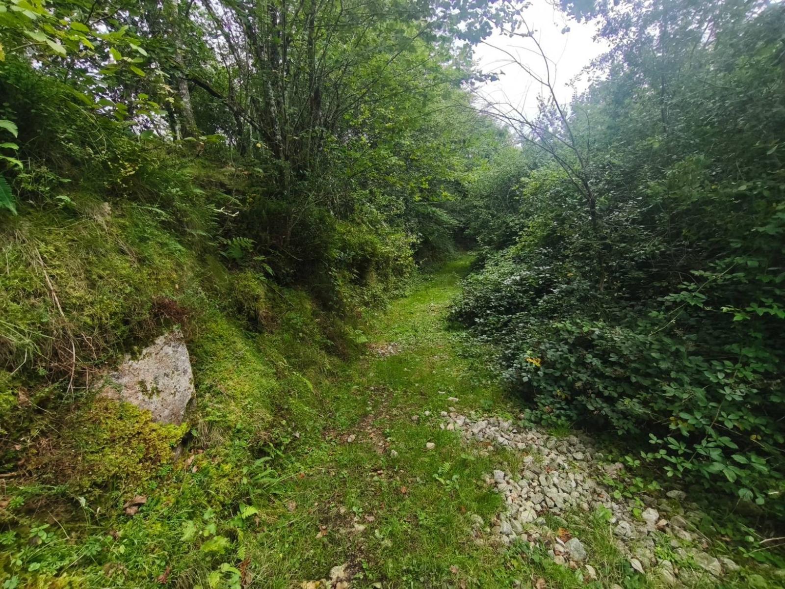 Chalet for Sale in Rionansa