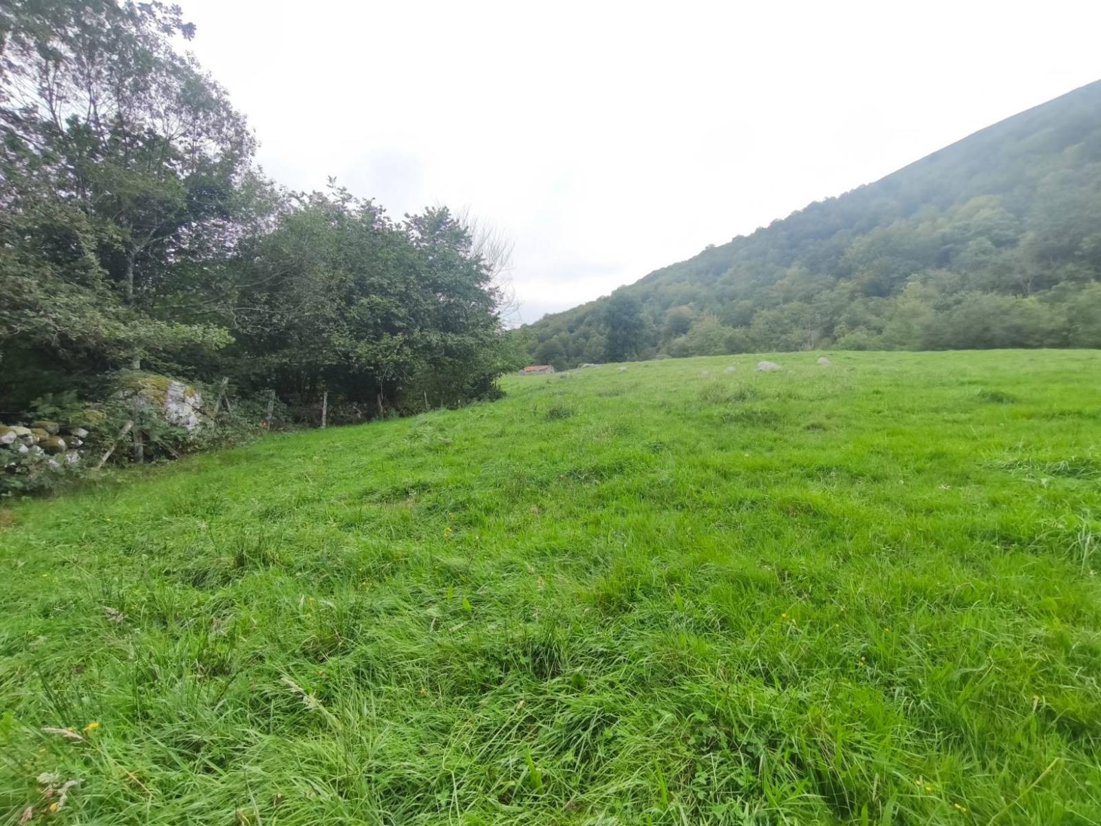 Chalet for Sale in Rionansa