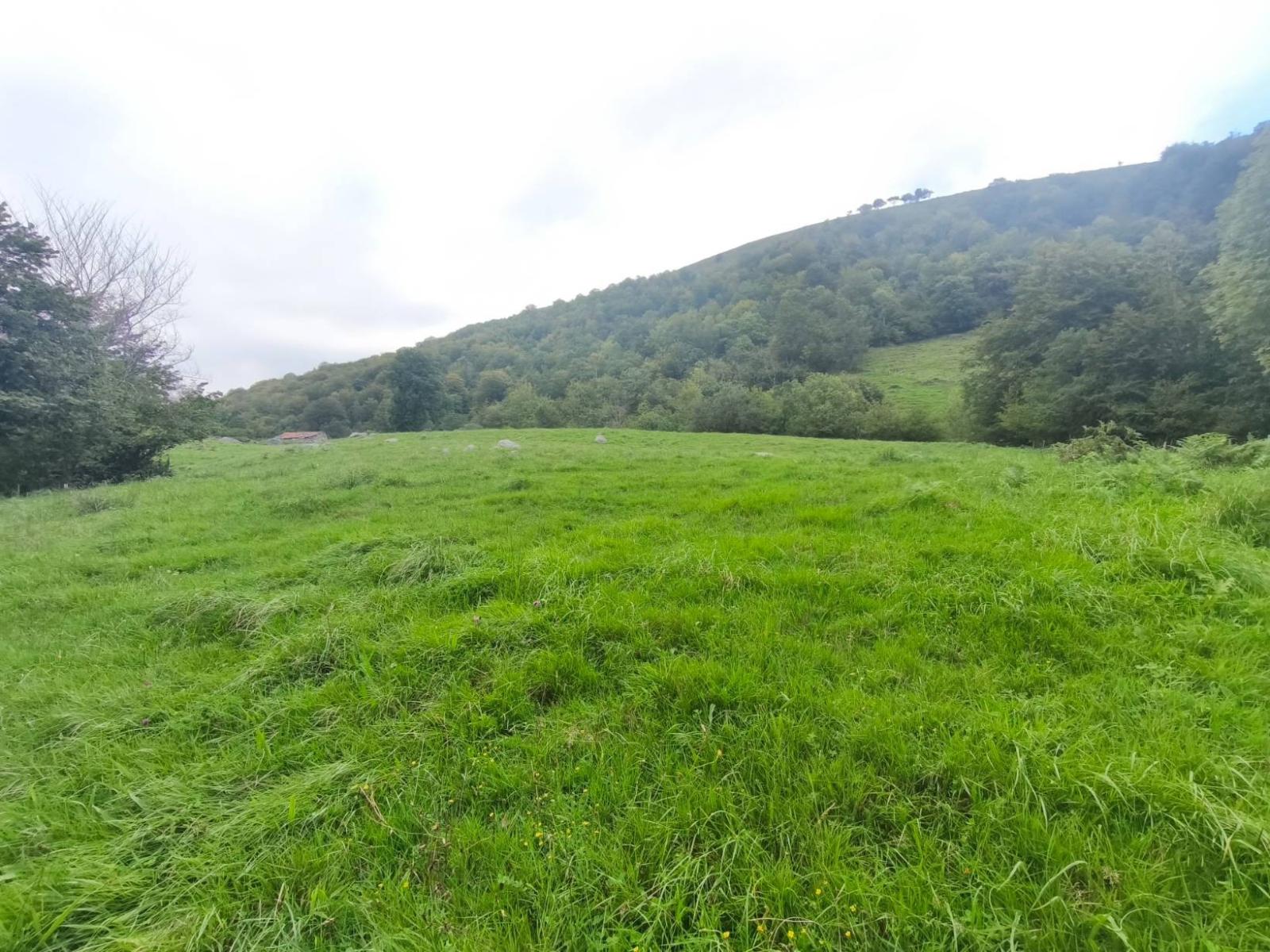 Chalet for Sale in Rionansa
