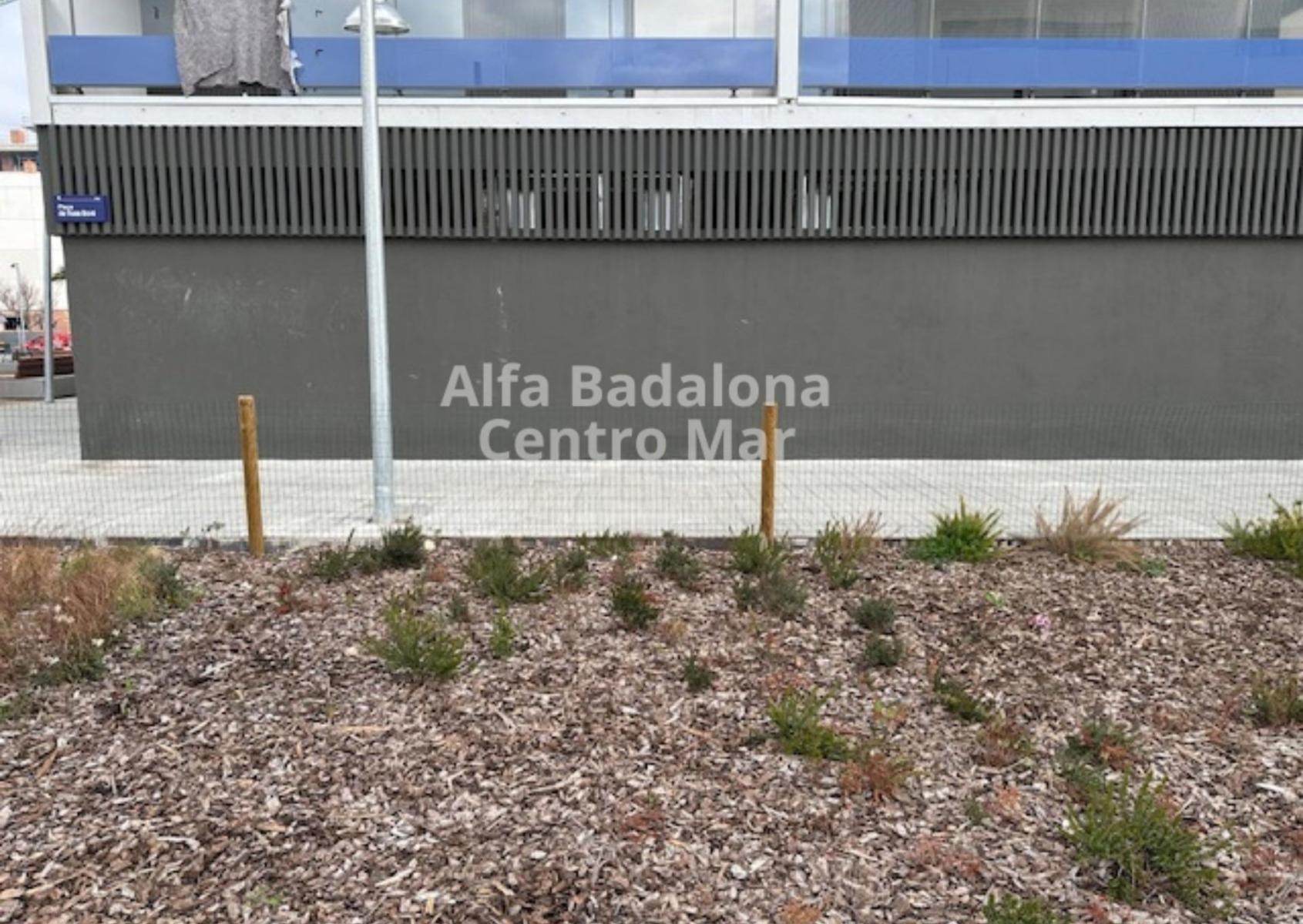 Premise for Rent in Badalona
