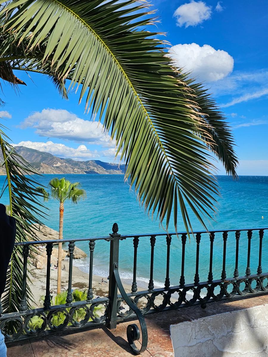 Apartment for Sale in Nerja