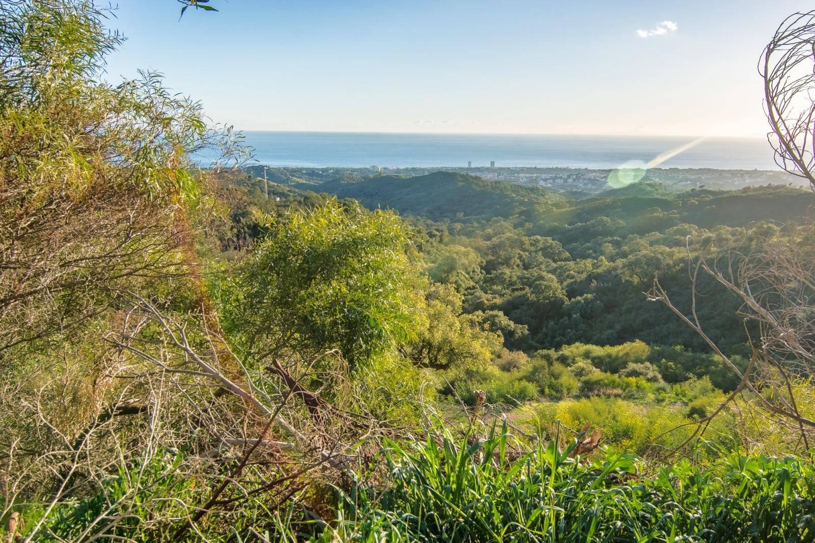 Parcela en Venta en Marbella