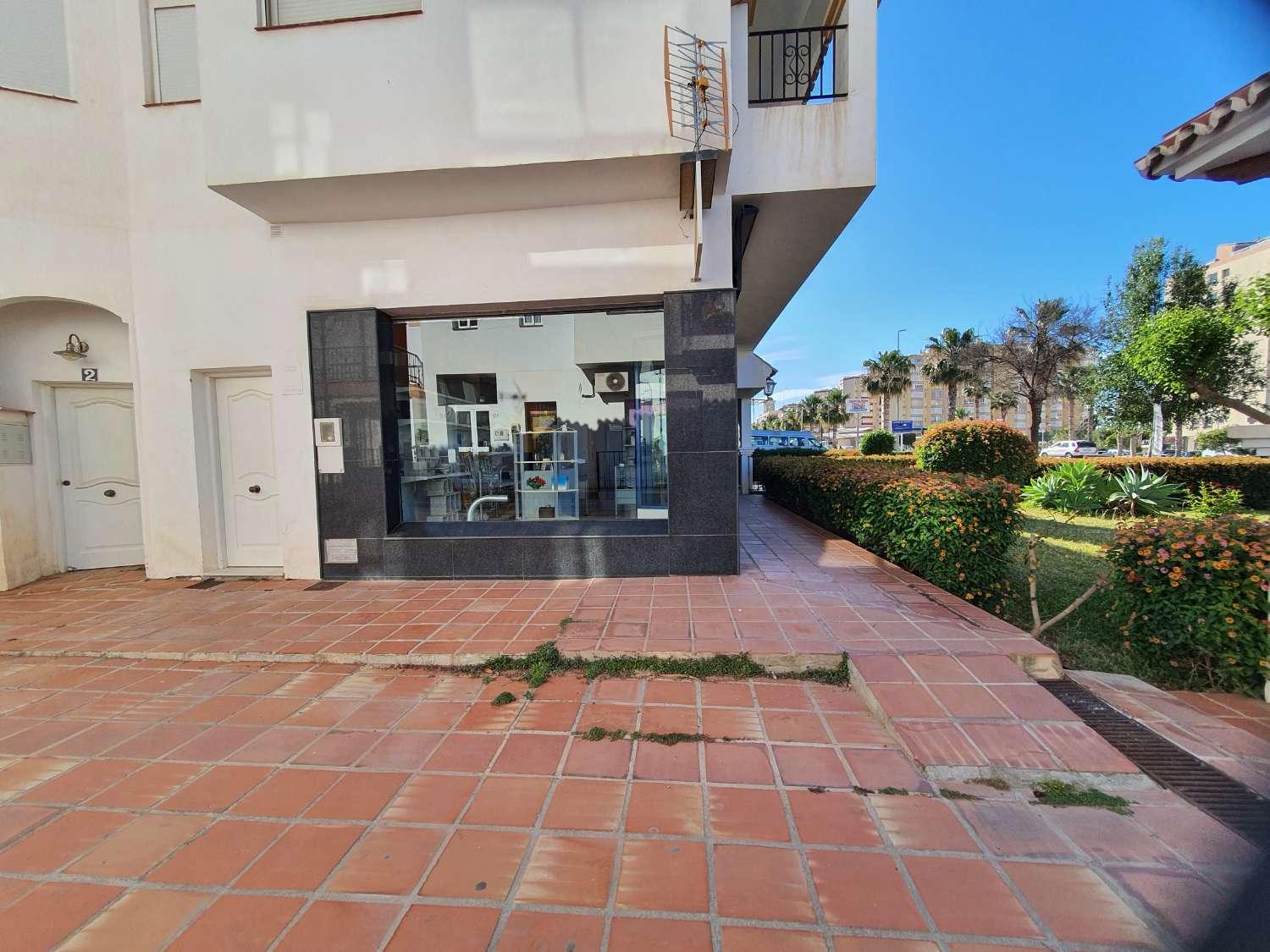 Premise for Sale in Torrox