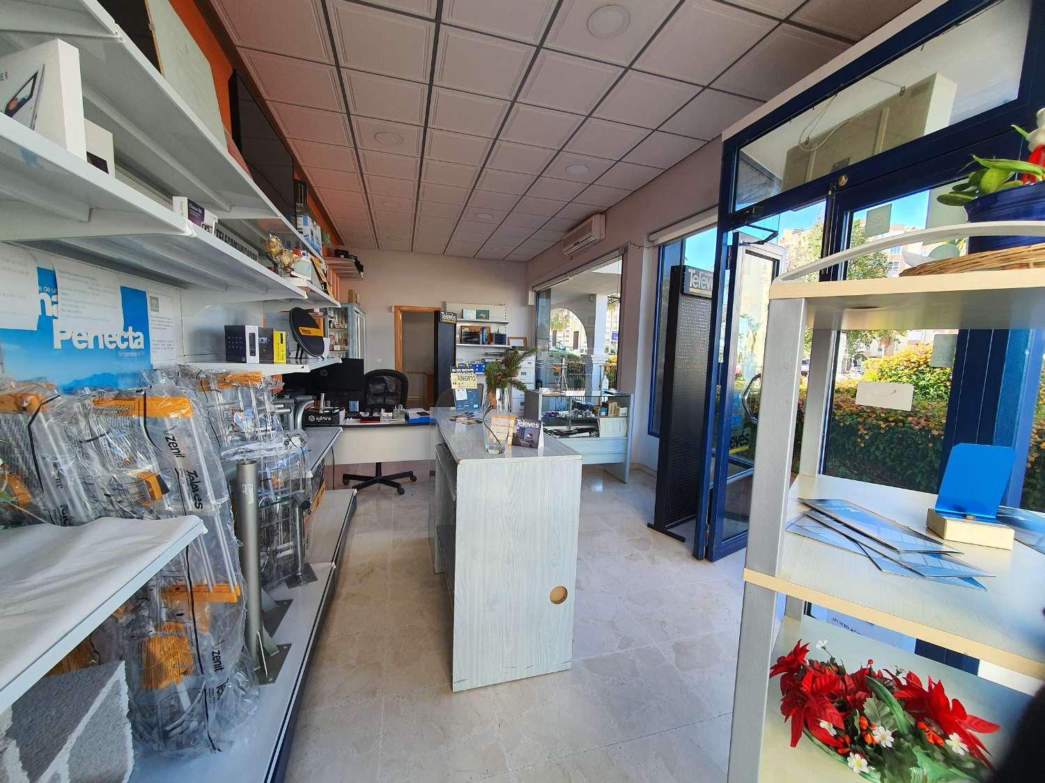 Premise for Sale in Torrox