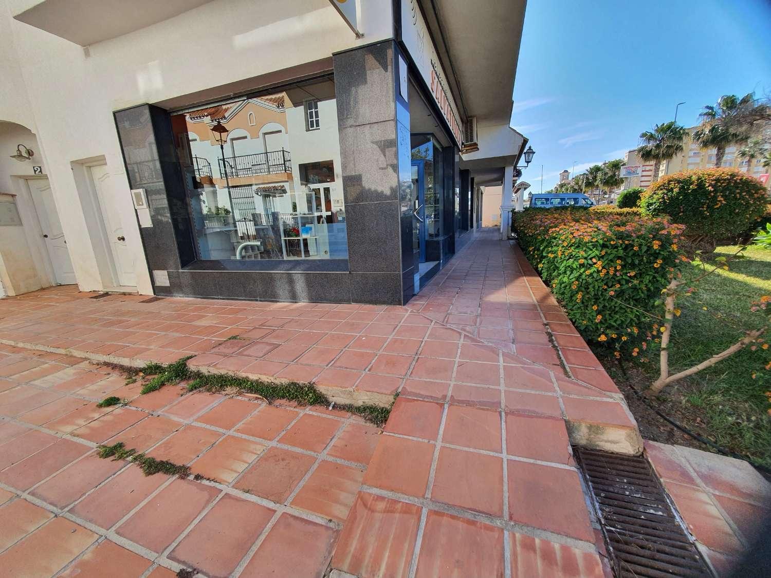 Premise for Sale in Torrox